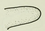 Pasted image 20230311171451.png